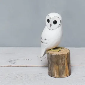 Baby Barn Owl in Wood