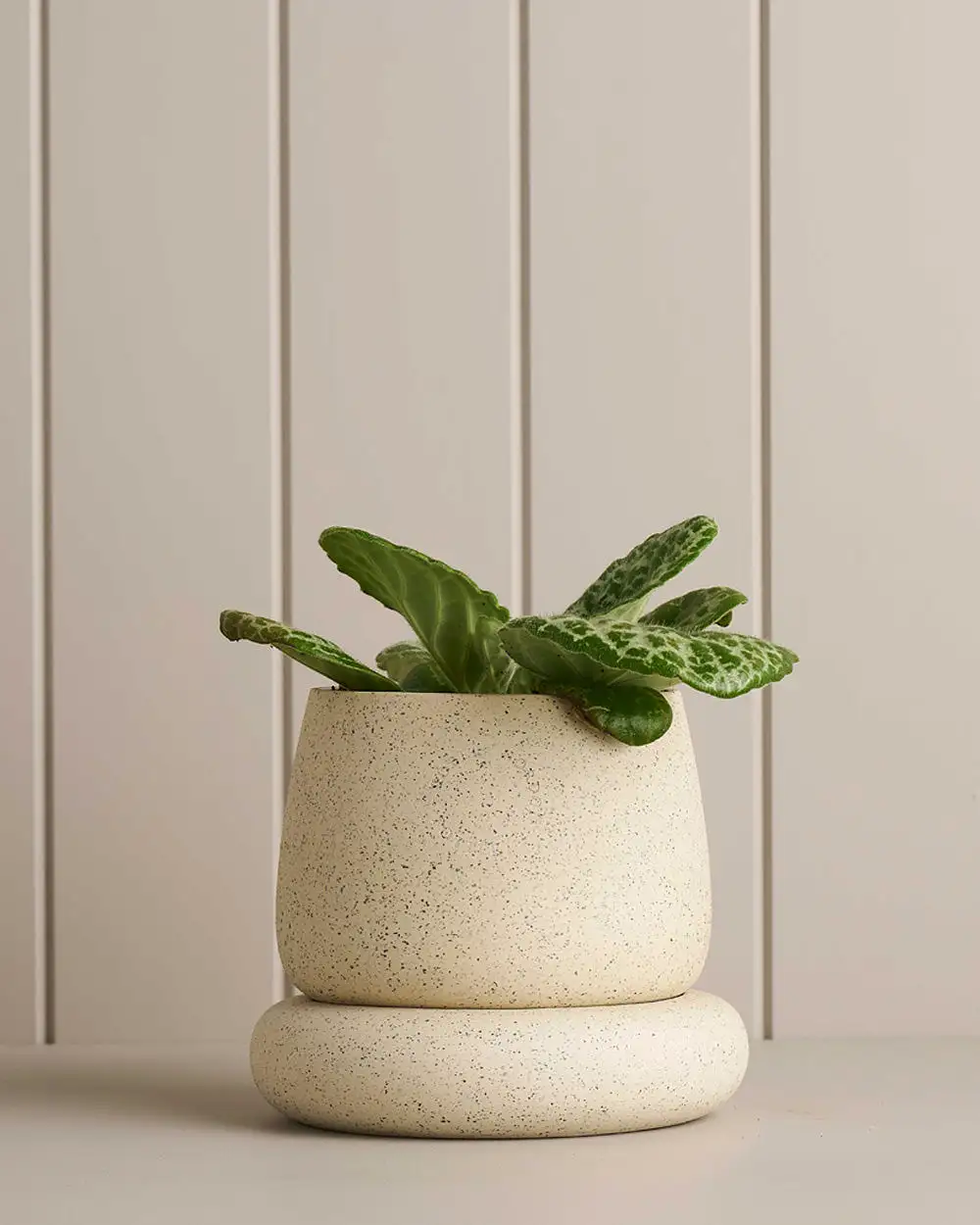 Robert Gordon - Cloud Planter - Small - White Speckle